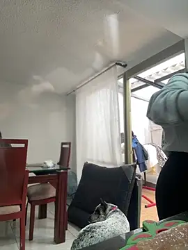 Salome golvert online show from 03-02-26, 08:38