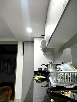 Salome golvert online show from 11-15-25, 10:58