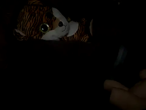 SlimeCrownzOut5 online show from 11-17-25, 04:16