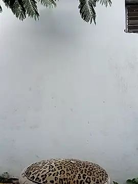 Chicavixy online show from 02-07-25, 10:52