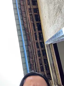 palzkybi123 online show from 11-15-25, 04:27