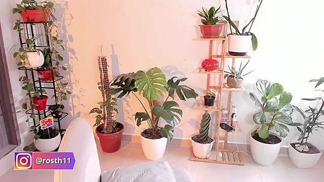 rossth1 online show from 11-11-25, 08:36