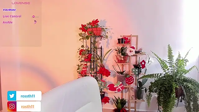 rossth1 online show from 11-26-25, 07:03