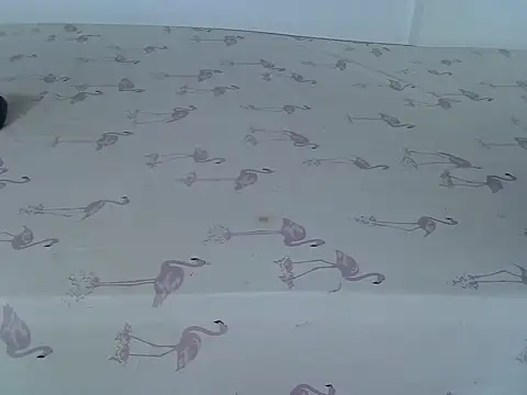 laetitia  online show from 03-02-26, 01:17