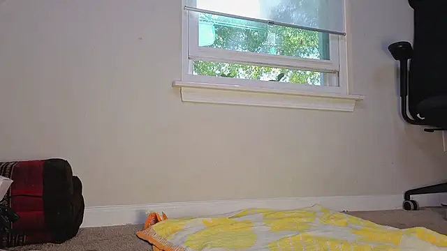 Theonlydreamybull online show from 11-12-25, 06:01