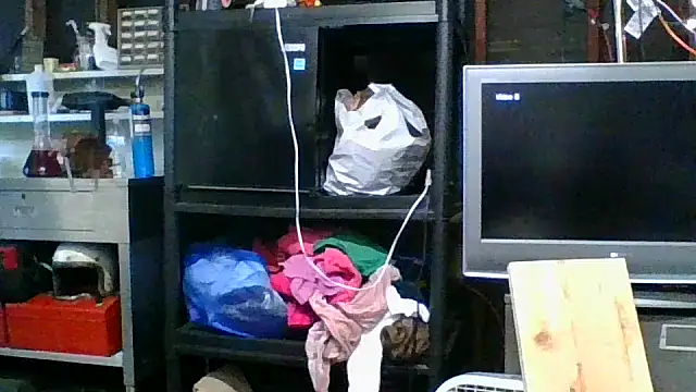 allissonw13 online show from 11-05-25, 11:19