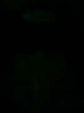 Txkng98 online show from 03-14-25, 12:43