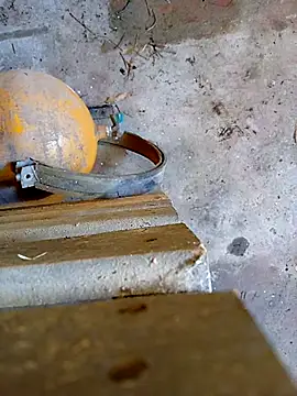 Din0071 online show from 01-07-26, 06:02