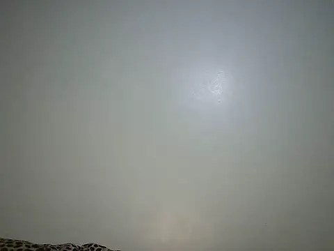 Toxique  online show from 06-26-26, 05:52