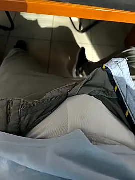 onbifeet online show from 11-16-25, 09:47