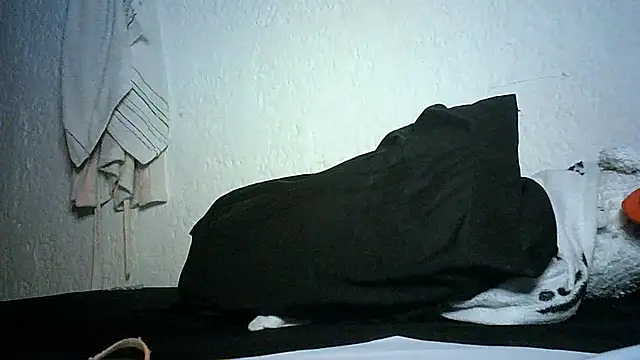 Bellabeltrann online show from 11-28-25, 11:49