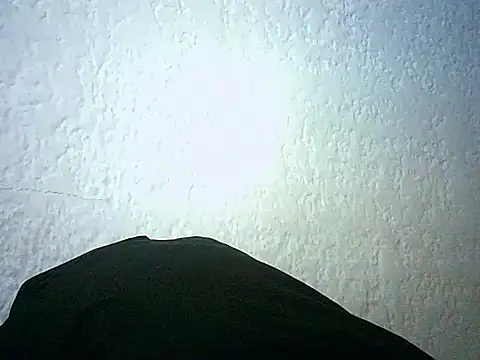 Bellabeltrann online show from 01-14-26, 12:42