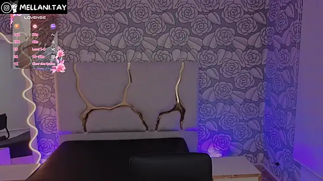 Snapshot of Mellani_tay chatting on 10-28-25, 03:40 Mellani tay online show from 10-28-25, 03:40