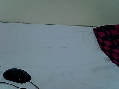 pointy bloom online show from 11-14-25, 04:32