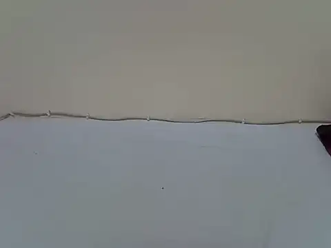 pointy bloom online show from 01-10-26, 08:53