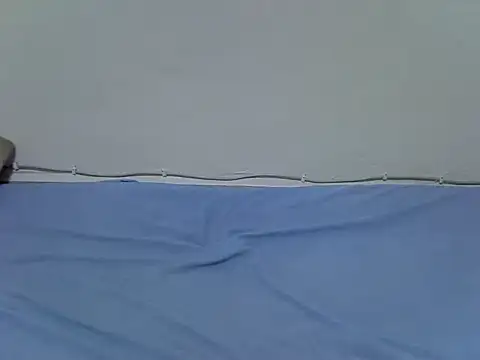 pointy bloom online show from 01-31-26, 07:23