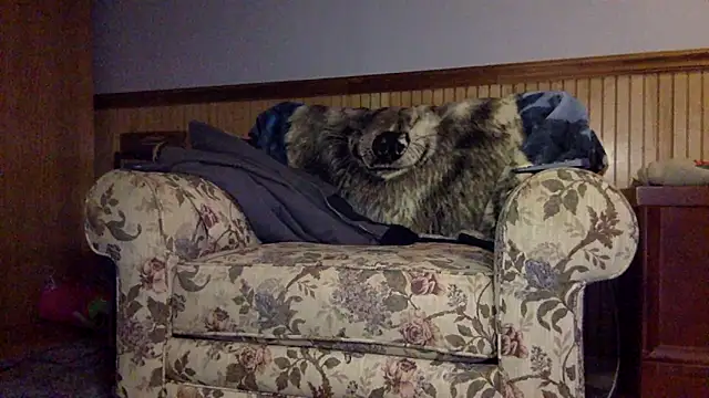 tongueispowerr6d9 online show from 03-03-26, 02:18