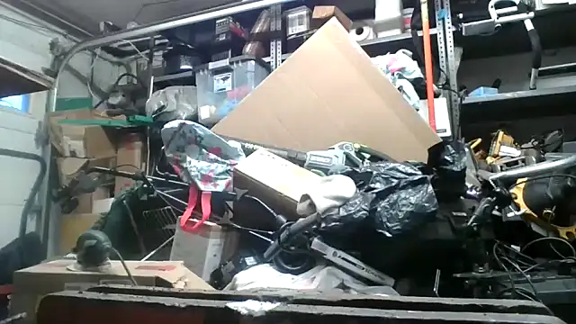 tongueispowerr6d9 online show from 12-10-24, 08:38
