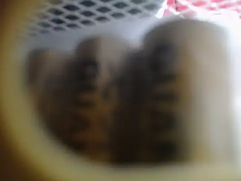 Lovensetest online show from 12-17-25, 01:21