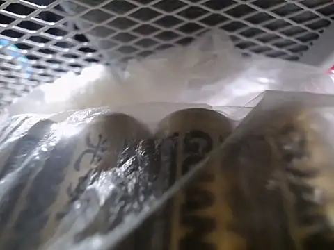 Lovensetest online show from 09-30-25, 07:36