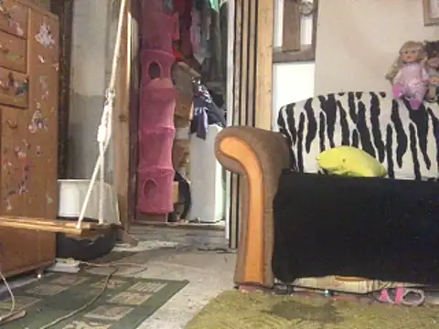 frenkynator online show from 11-15-25, 09:19