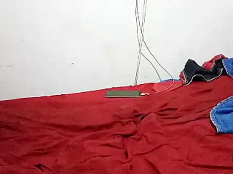 wel9238 online show from 04-12-26, 11:08
