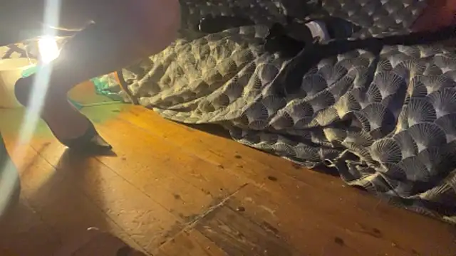 alexheels boots online show from 12-03-25, 02:45