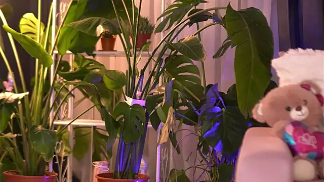 EmilyRaymont online show from 12-03-25, 04:13