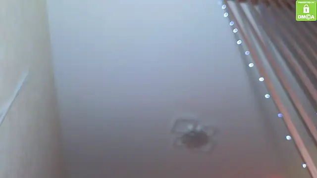 Katy perry  online show from 11-27-25, 03:51