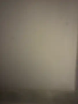 orient zob online show from 01-07-26, 02:49