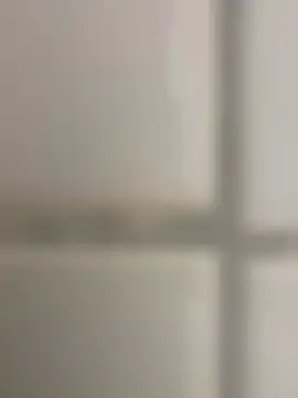 orient zob online show from 11-14-25, 02:32