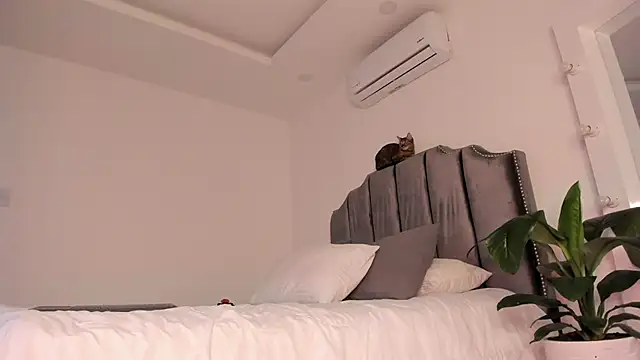 molly cams8 online show from 03-07-25, 12:48