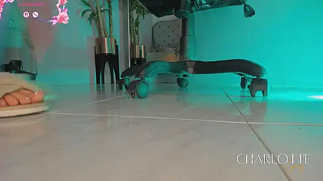 charlotte  grey online show from 02-24-26, 08:21