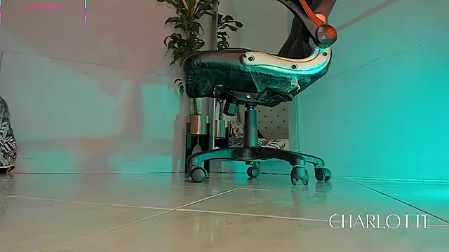 charlotte  grey online show from 11-20-25, 08:42