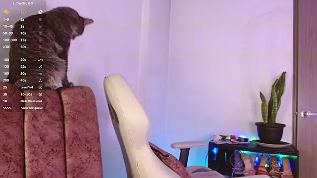 Snapshot of zoewils chatting on 05-03-26, 05:56 zoewils online show from 05-03-26, 05:56