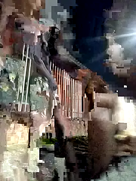 Gutierrez6383 online show from 04-21-26, 04:52