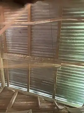 phola12 online show from 02-27-25, 07:47