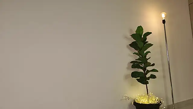 lady ni  online show from 12-17-25, 12:21