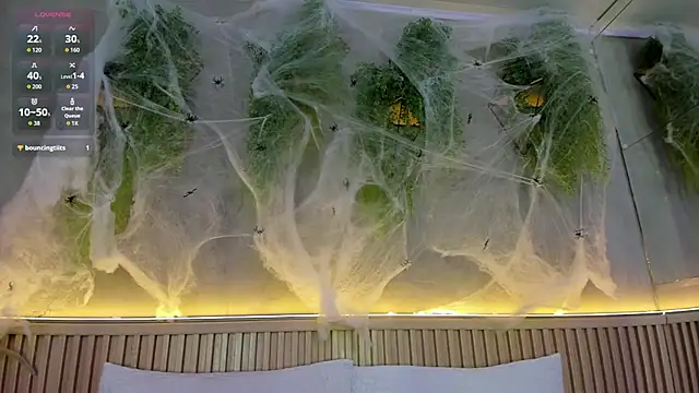 Lana Lann online show from 10-25-25, 12:50