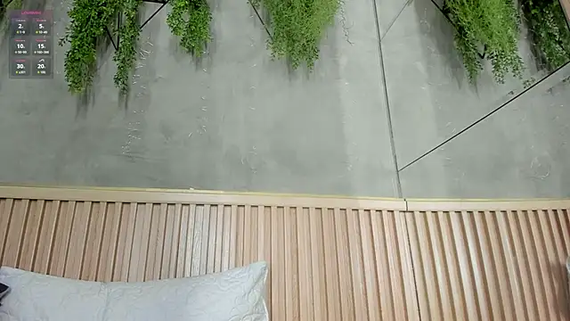 Lana Lann online show from 01-18-26, 11:57