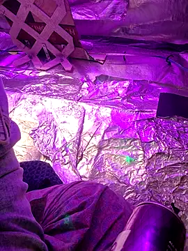 thecoolarrow online show from 09-10-25, 05:06