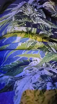 McdyllanXX online show from 02-13-25, 12:24