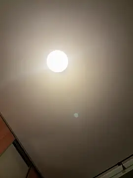 palorid online show from 09-10-25, 10:31