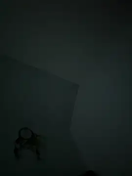 VixyGang online show from 02-19-26, 07:49