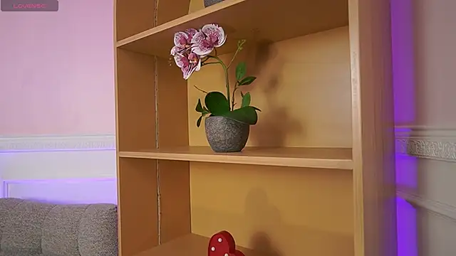 Anybuny online show from 11-07-25, 11:59