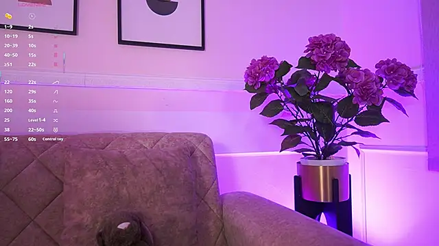 Anybuny online show from 02-04-26, 11:38