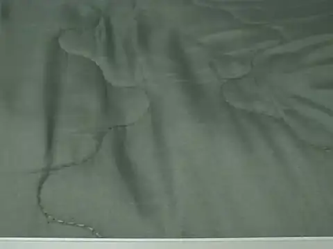 Snapshot of VenDee chatting on 11-07-25, 07:40 VenDee online show from 11-07-25, 07:40