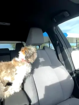 SafeinouterSpace online show from 11-26-25, 09:37