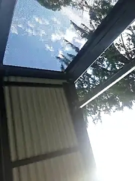 Off the Lesh online show from 03-31-26, 04:25