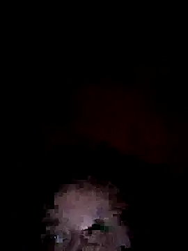 Snapshot of Off_the_Lesh chatting on 07-06-26, 04:31 Off the Lesh online show from 07-06-26, 04:31